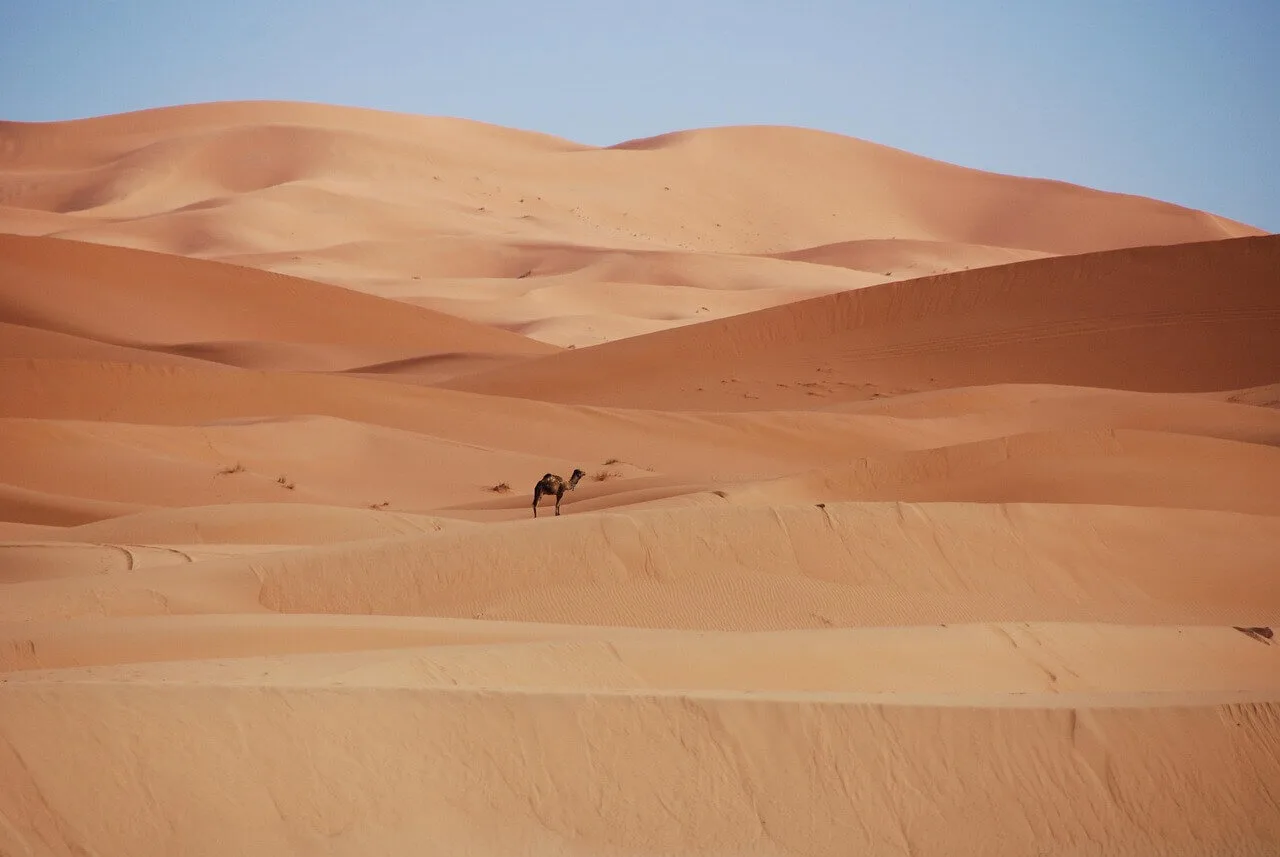 7-Day Morocco Itinerary: Private Tour Day by Day